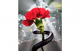 Flower with Snake by Michel Haddi