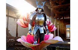 The Samurai by Michel Haddi